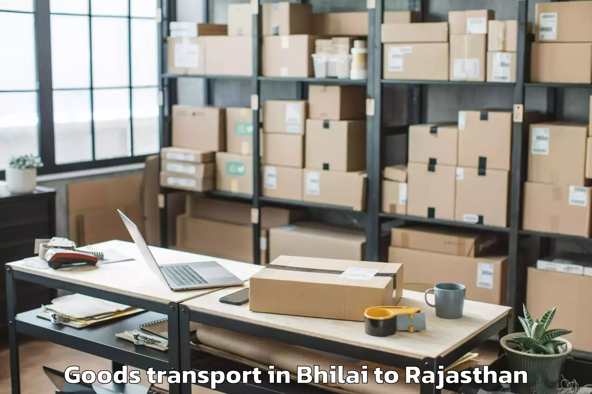 Top Bhilai to Malpura Goods Transport Available